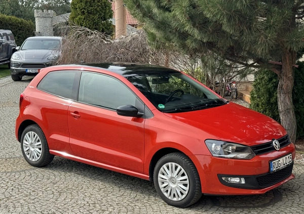 Volkswagen Polo cena 18500 przebieg: 173100, rok produkcji 2010 z Bolesławiec małe 596